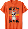 No Drama Llama and Alpaca Designs Only You Can Prevent Drama Llama T-Shirt - Orange
