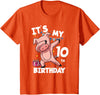 Pig Birthday Outfit for Boys Girls Party Supplies Its My 10th Birthday 10 Year Old Pig Birthday T-Shirt - Orange
