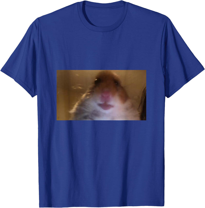 Funny Dank Meme Hamster Staring Front Camera Internet Gift T-Shirt - Royal Blue