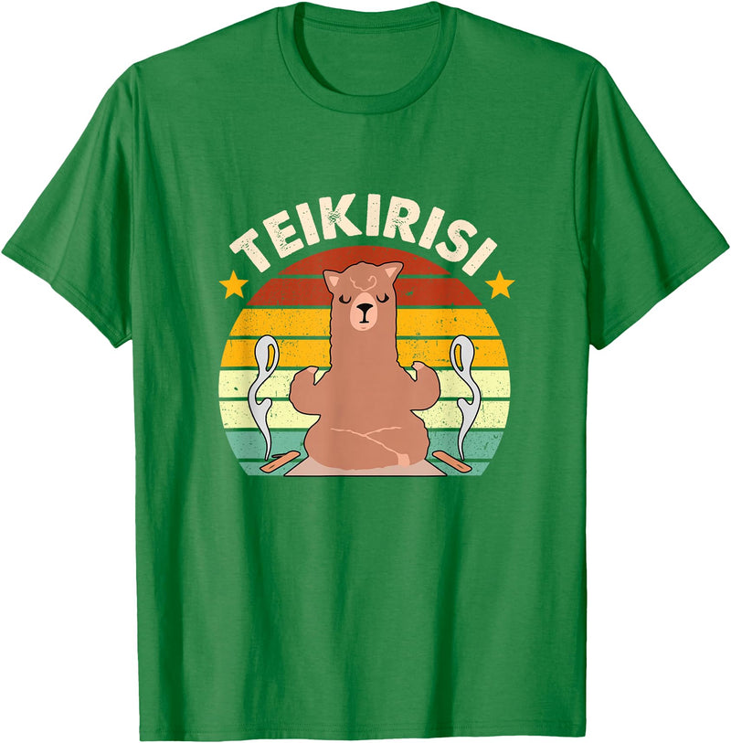 Teikirisi Take It Easy Funny Spanish Llama Latina Yoga T-Shirt - Kelly Green