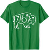 Buffalo Polish 716 716ski Dyngus Day Buffalo NY Polish T-Shirt - Kelly Green