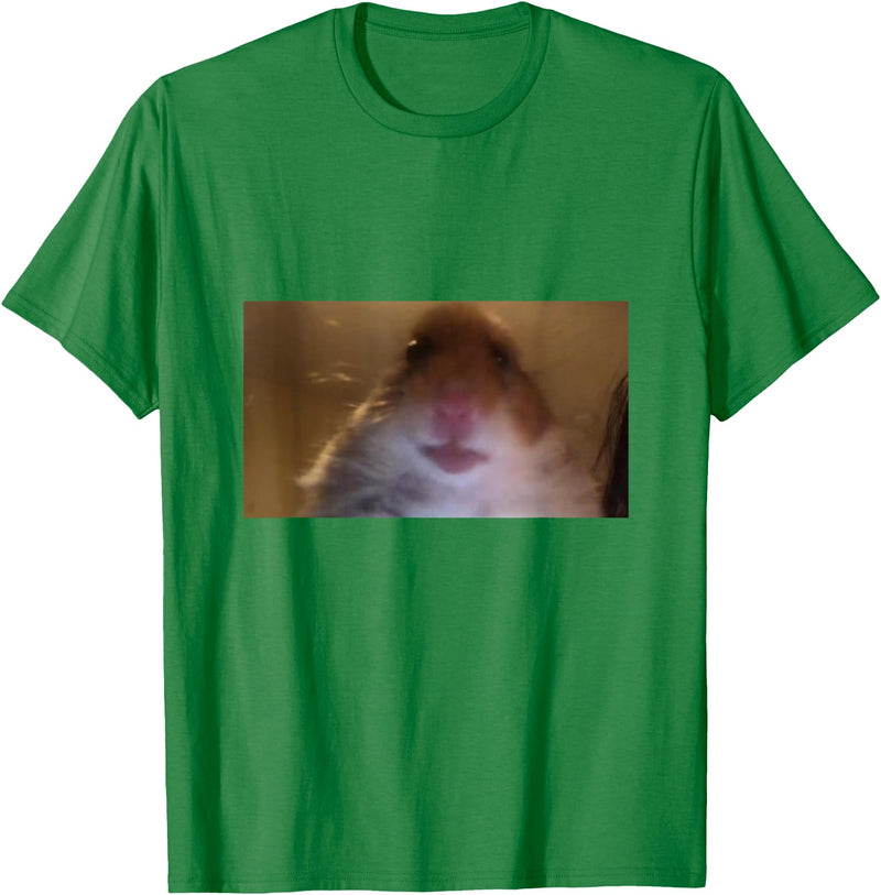 Funny Dank Meme Hamster Staring Front Camera Internet Gift T-Shirt - Kelly Green