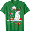 Polar Bear Lover Christmas Gifts T Shirts Polar Bear Wearing Santa Hat Xmas Merry Christmas Polar Bear T-Shirt - Kelly Green