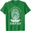 Gifts for David David Gift Name Lion T-Shirt - Kelly Green