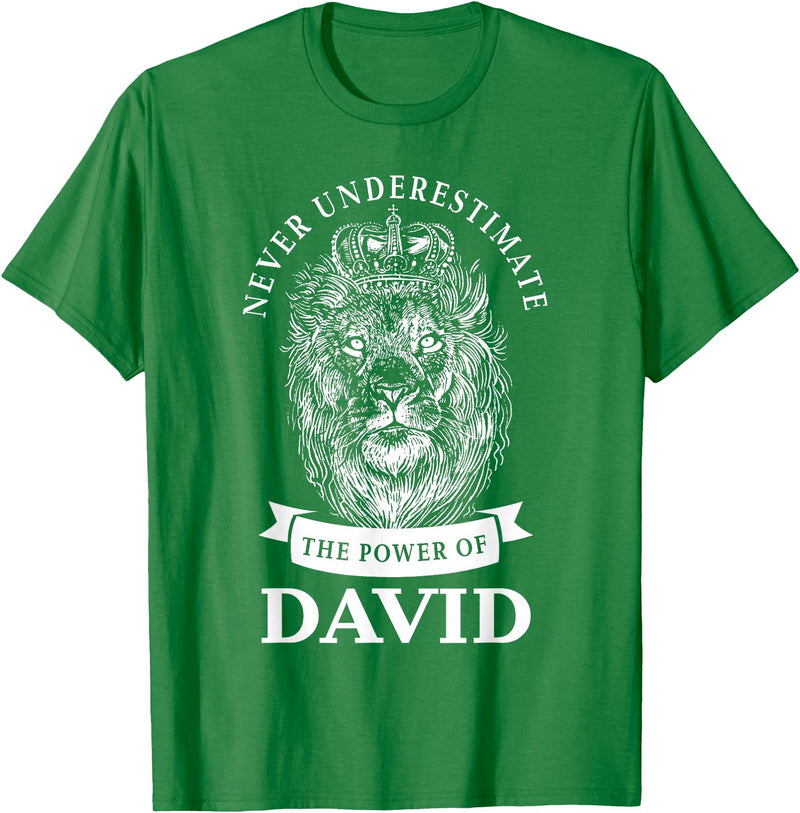 Gifts for David David Gift Name Lion T-Shirt - Kelly Green