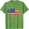 Bison American Buffalo Patriotic Heritage Lr Vintage Buffalo American Flag USA Bison Lover Wildlife T-Shirt - Grass Green