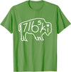 Buffalo Polish 716 716ski Dyngus Day Buffalo NY Polish T-Shirt - Grass Green