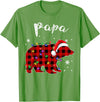 Red Plaid Papa Bear Buffalo Matching Family Pajama Christmas T-Shirt - Grass Green