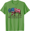 Custer State Park Buffalo Roundup Clothing Co Buffalo Roundup Custer State Park South Dakota Patriotic T-Shirt - Grass Green