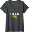 iran flag, Shir-o-Chorshid, Persian Lion and Sun Women's Free Iran Lion and Sun Flag – Persian Heritage Symbol Design V-Neck T-Shirt - Dark Heather Grey