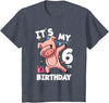 Pig Birthday Outfit for Boys Girls Party Supplies Its My 6th Birthday 6 Year Old Pig Birthday T-Shirt - Heather Blue