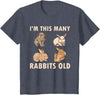 Cute Rabbit Lover Bunny Graphic T-Shirt (Cranberry Red) in Heather Blue