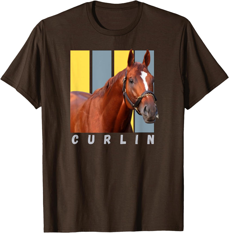 Handicapping Horse Gear Curlin Horse, Horse Racing Shirt, Del Mar, Santa Anita Shirt T-Shirt - Brown