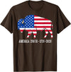 American Buffalo Design for 250th Anniversary Vintage Retro Bison American Flag Buffalo Simple 4th of July T-Shirt - Brown