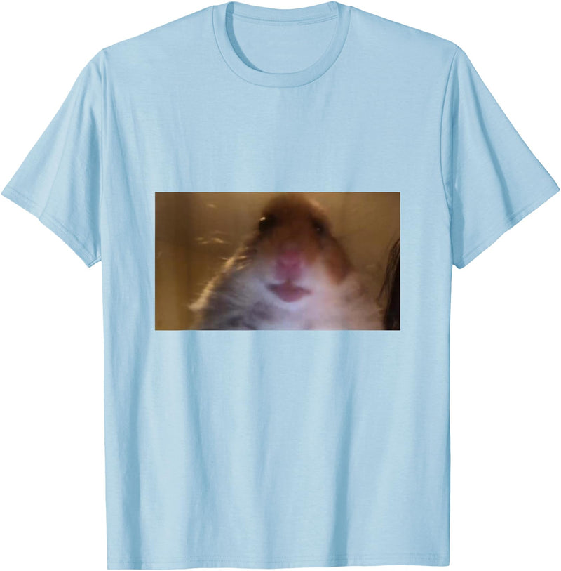 Funny Dank Meme Hamster Staring Front Camera Internet Gift T-Shirt - Baby Blue