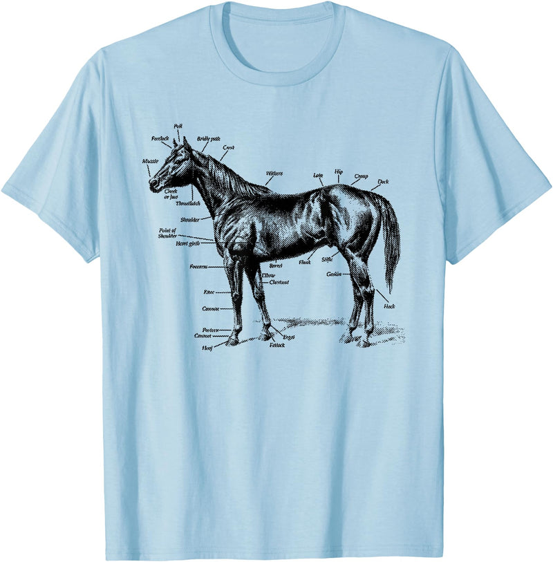 Big Texas Anatomy of a Horse T-shirt T-Shirt - Baby Blue