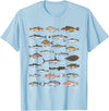 Botanical Chart Apparel Co. Vintage Fish Identification Chart Fishing T-Shirt Small - Baby Blue