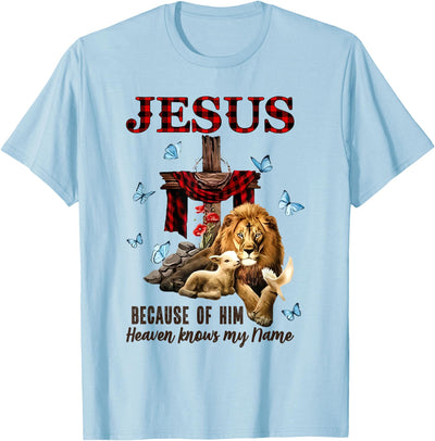 FAITH Jesus Lion Lamb Heaven Know My Name T-Shirt