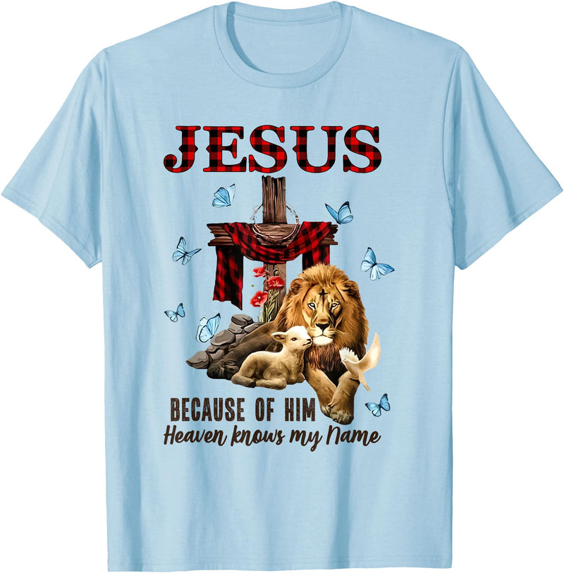 Unknow FAITH Jesus Lion Lamb Heaven Know My Name T-Shirt - Baby Blue
