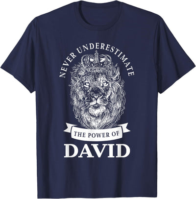 David Gift Name Lion T-Shirt