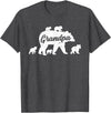 Matching Bear Family Apparel Vintage Grandpa Bear with 5 Cub Father's Day T-Shirt - Dark Heather Grey