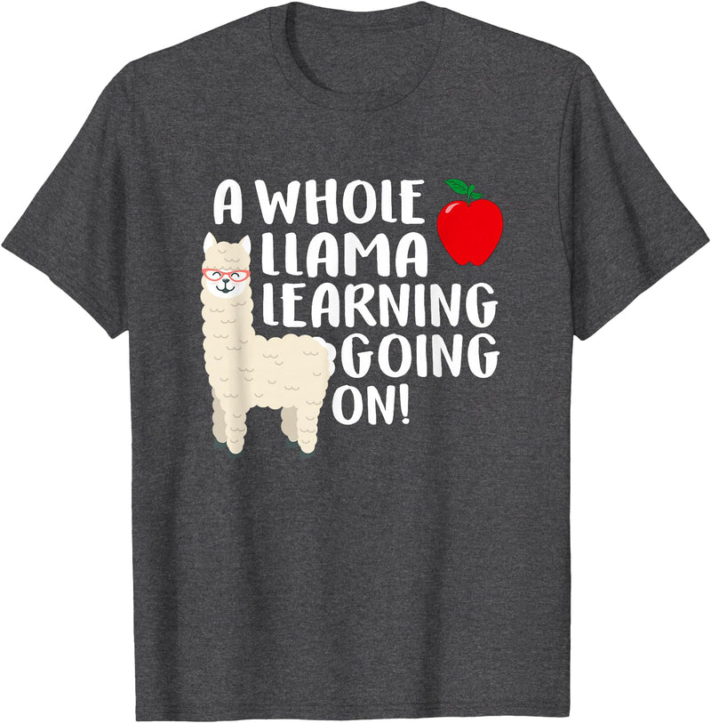 SOMMAS TEACHER A Whole Llama Learning Going on Funny First Grade Teacher T-Shirt - Dark Heather Grey