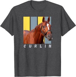 Handicapping Horse Gear Curlin Horse, Horse Racing Shirt, Del Mar, Santa Anita Shirt T-Shirt - Dark Heather Grey