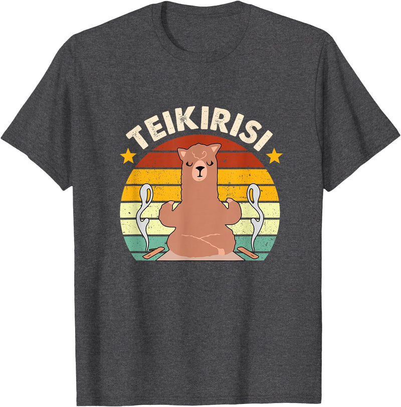 Teikirisi Take It Easy Funny Spanish Llama Latina Yoga T-Shirt - Dark Heather Grey