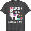 Matching Llama Birthday Party Supplies Sister Of The Birthday Llama Birthday Boy Girl Outfit Family T-Shirt - Dark Heather Grey