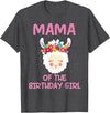 Llama Matching Birthday Party Theme Supplies Mama Of The Birthday Girl Llama First 1st Birthday Girl T-Shirt - Dark Heather Grey