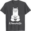 Cute Yoga Shirts - Llamaste Llamaste - Cute Yoga Lovers Gift, Adorable Llama Fitness T-Shirt - Dark Heather Grey