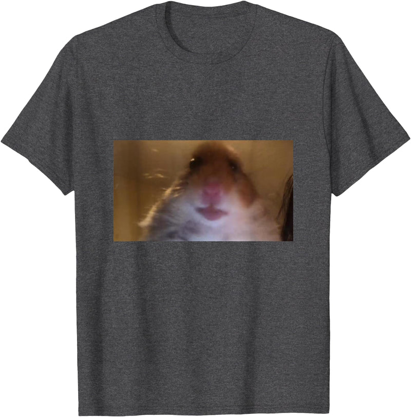 Funny Dank Meme Hamster Staring Front Camera Internet Gift T-Shirt - Dark Heather Grey