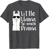 Mommy & Me Llama Co. Little Llama So much Drama Cool Kids Matching Family T-Shirt - Dark Heather Grey