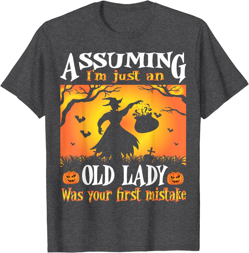 Halloween Old Lady Witch Assuming I'm Just An Old Lady Was Your First Mistake Witch T-Shirt - Dark Heather Grey