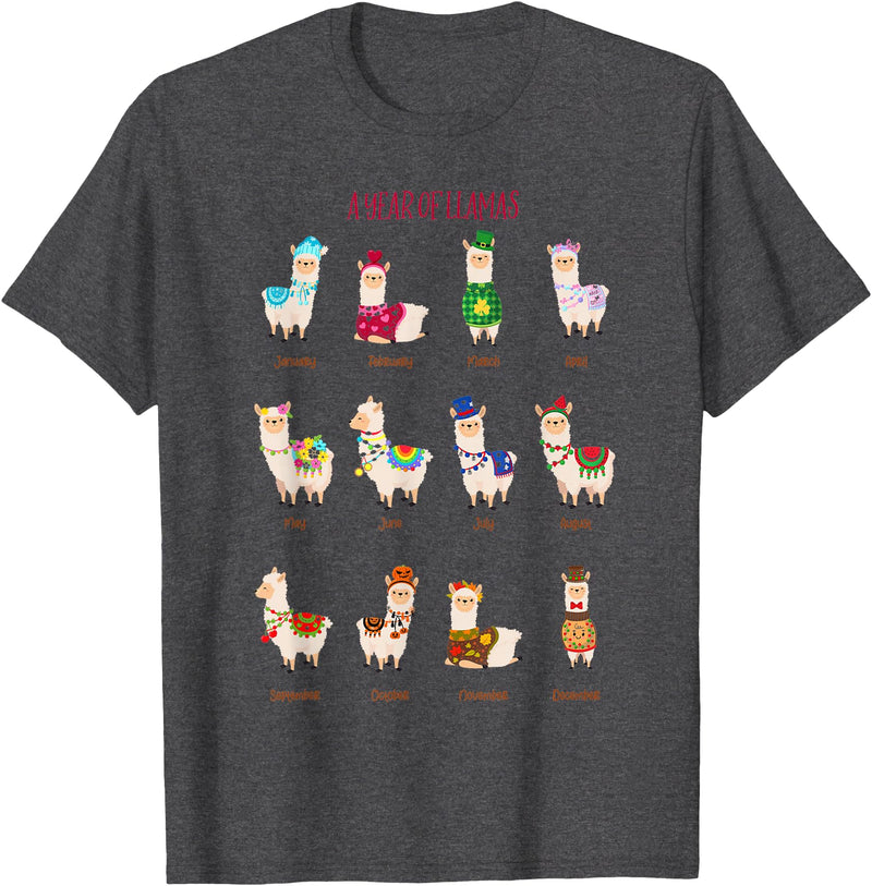 Funny Llamas A Year Of Llamas Funny Llama Alpaca T-Shirt - Dark Heather Grey