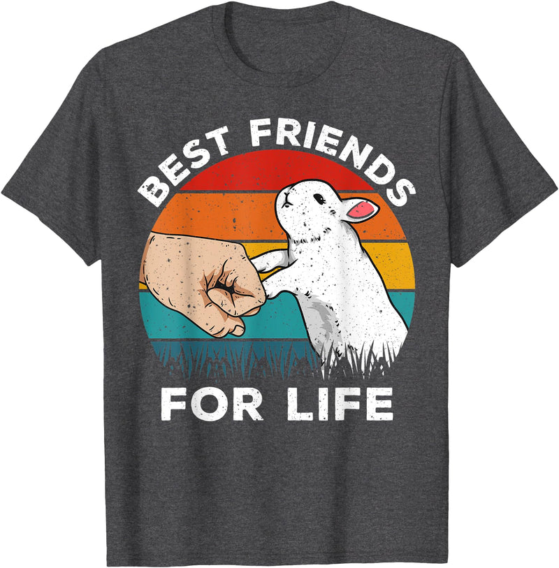 Retro Rabbit Best Friends for Life Funny Bunny Rabbit T-Shirt in Dark Heather Grey