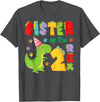 Funny 2Nd Birthday Dinosaur T-Rex Matching Sister of The Two Rex 2Nd Birthday Boy Dinosaur T-Rex T-Shirt - Dark Heather Grey