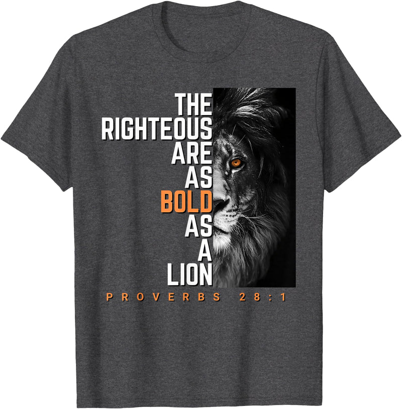 Funny The Righteous Are As Bold As A Lion Bible Verse T-Shirt - Dark Heather Grey