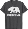 California Bear Souvenirs California State Flag Republic Of California T-Shirt - Dark Heather Grey
