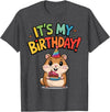 It's My Birthday Cute Hamster for Kid's Party Celebration T-Shirt - Dark Heather Grey