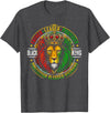 Lion Juneteenth 1865 Fathers Day Black History Tee Black King Lion Juneteenth 1865 Men Dad Father's Day T-Shirt - Dark Heather Grey