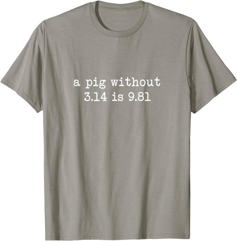 Pig Pi Gravity Math and Physics A Pig Without 3.14 Is 9.81 Math Physics T-Shirt - Slate Grey