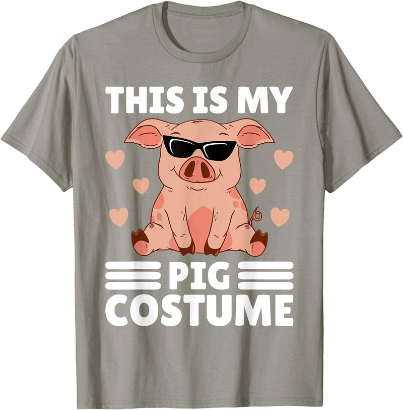 Funny Pig Costume For Women Or Girls This is My My Pig Costume Women Pig Stuff Funny Farmer Girl T-Shirt - Slate Grey