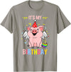Its My Birthday Pig T-Shirt - Slate Grey