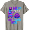 Llama Pinata Birthday Family Bday Party Decoration Mom of Birthday Boy Llama Pinata Party Family Matching T-Shirt - Slate Grey