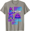 Llama Pinata Birthday Family Bday Party Decoration Brother of Birthday Boy Llama Pinata Party Family Matching T-Shirt - Slate Grey