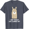 Funny Llama And Alpaca Gifts I Just Really Like Llamas T-Shirt - Heather Blue