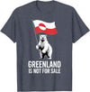 Arctic Polar Bear Greenland Protest Greenland is Not for Sale Arctic Polar Bear T-Shirt - Heather Blue