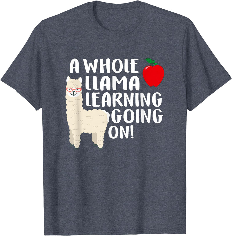 SOMMAS TEACHER A Whole Llama Learning Going on Funny First Grade Teacher T-Shirt - Heather Blue