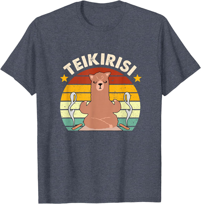 Teikirisi Take It Easy Funny Spanish Llama Latina Yoga T-Shirt - Heather Blue